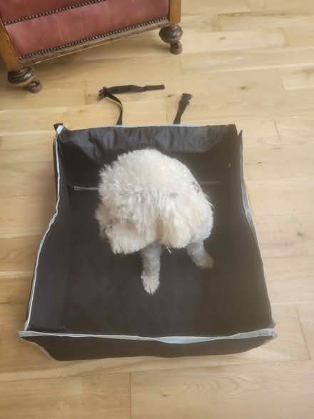 Photo of free Foldable dog carrier for car (Dublin) #1