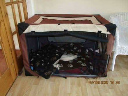 Photo of free Cheeko Foldable Pop Up Dog Crate (Wyke BD12) #1
