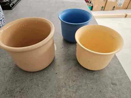 Photo of free 3 Indoor Plant Pots (Wandsworth Common SW11) #2