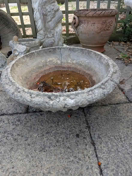 Photo of free Various garden ornaments (Bexhill-on-Sea TN39) #2