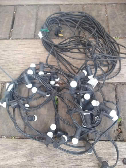 Photo of free Festoon Lights (bulbs needed) (Golden Triangle NR2) #1