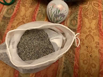 Photo of free Dried lavender heads (Stanwell Village TW19) #1