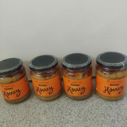 Photo of free Honey (Dagenham RM10) #1