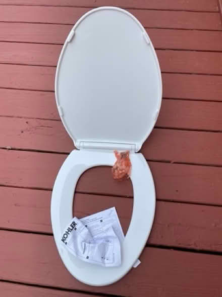 Photo of free Bathroom renovation (Livingston) #3