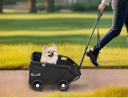 Photo of Dog trolley pushchair (Pickering YO18) #1