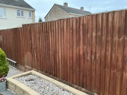 Photo of free Feather Edge (BA11 2DW) #1