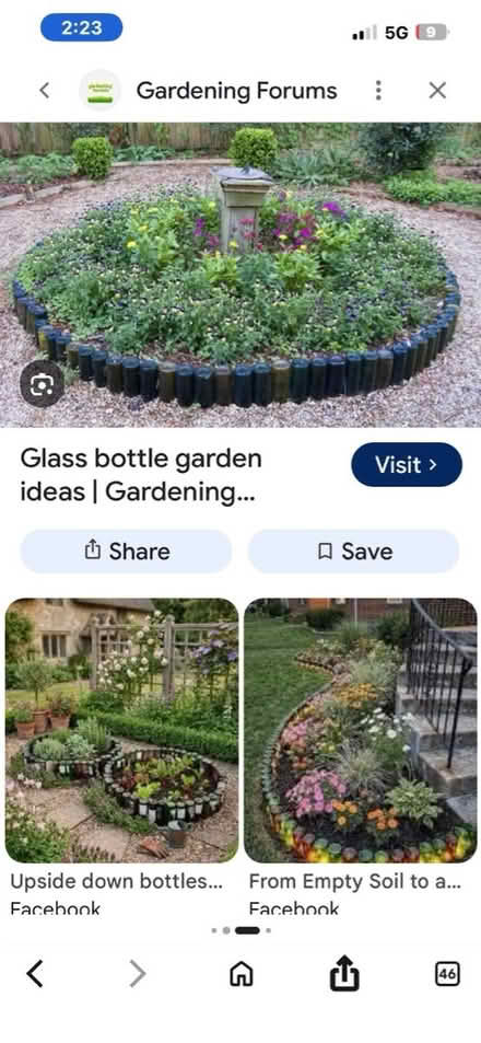 Photo of Empty olive oil glass bottles (North Brunswick) #2