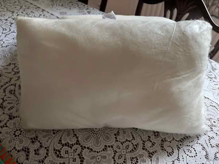 Photo of free Rectangular cushion pads (Sunninghill SL5) #1