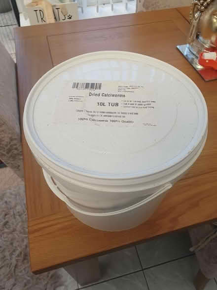 Photo of free Dried mealworms (Elstow MK42) #1