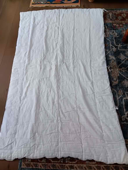Photo of free Single quilt (Wootton Fitzpaine DT6) #1