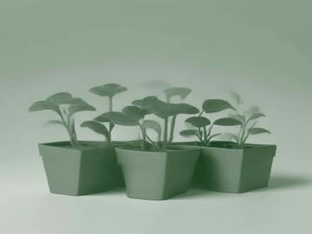 Photo of Seedling trays/plant pots/seeds (St Ann's Wells Gardens area BN3) #1