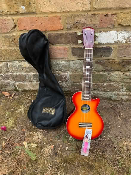Photo of free Small 4 string guitar (Hawaiian!) (Chalfont St Giles HP8) #1