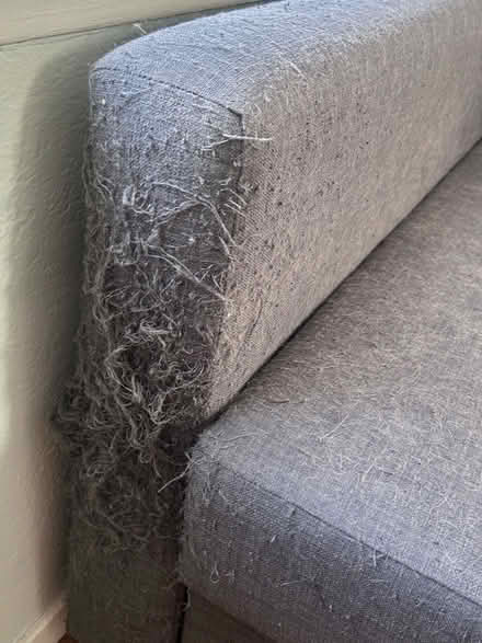 Photo of free Sleeper Ikea Couch (Redwood Heights) #2