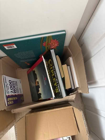 Photo of free Toys magazines shoes (Kemsing tn15) #3