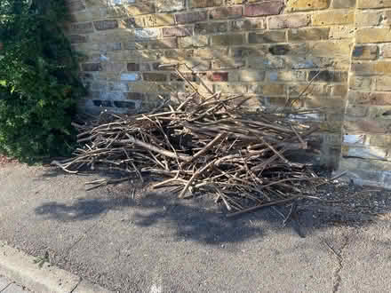 Photo of free Wood for burning (Cox Green SL6) #1