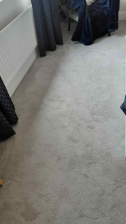Photo of free Cream carpet (Brandon, Coventry) #2