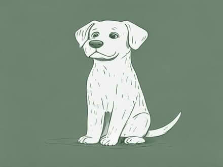 Photo of Dog items, bed etc (Newmachar AB21) #1