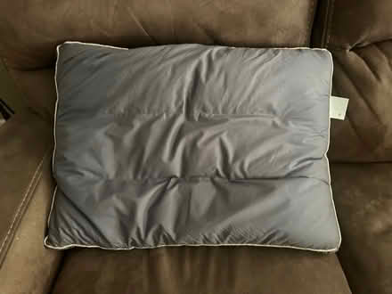 Photo of free Wool pillow (South San Jose) #1