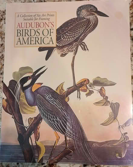 Photo of free Audubon Prints (River Falls, Potomac) #1