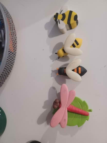 Photo of free Insect-themed erasers (Colchester CO4 6) #1