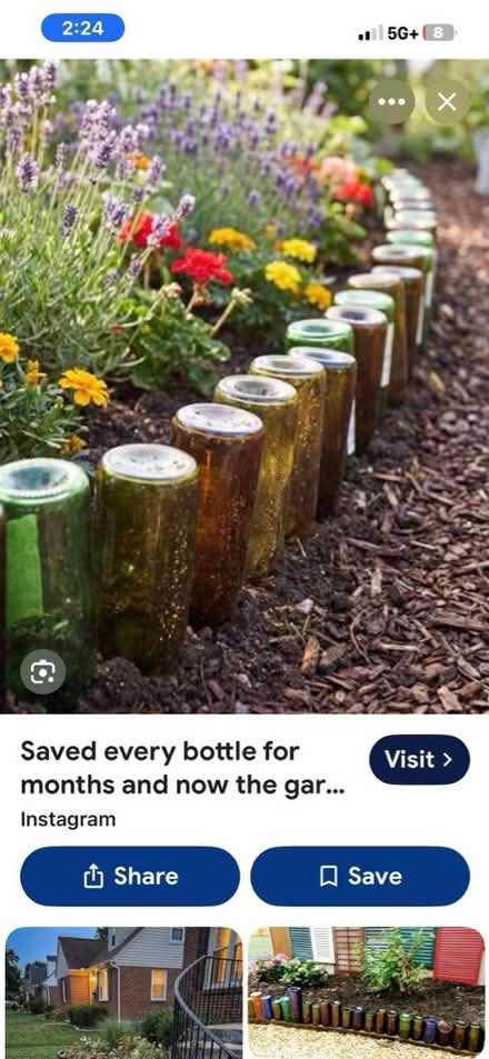 Photo of Empty olive oil glass bottles (North Brunswick) #1