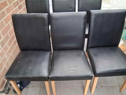Photo of free 6 Dining room chairs (Loughborough LE11) #4