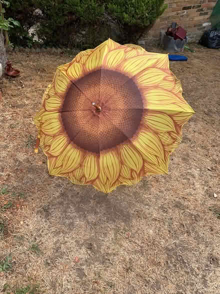 Photo of free Sunflower umbrella (Chalfont St Giles HP8) #2