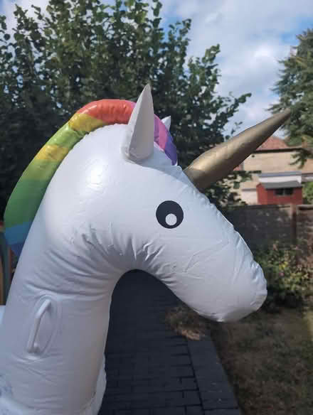 Photo of free Inflatable Unicorn (North Road BA2) #3