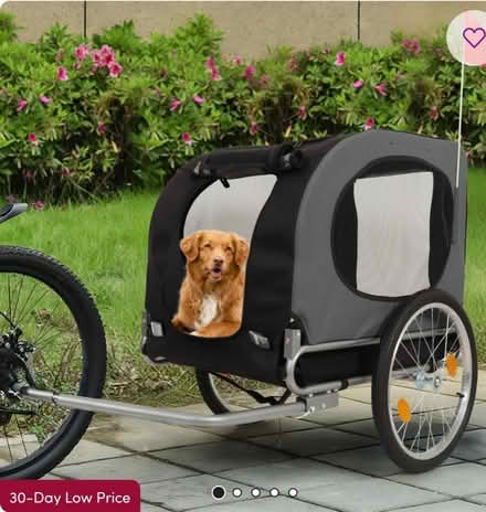 Photo of Dog bike trailer (Buxton NR10) #1