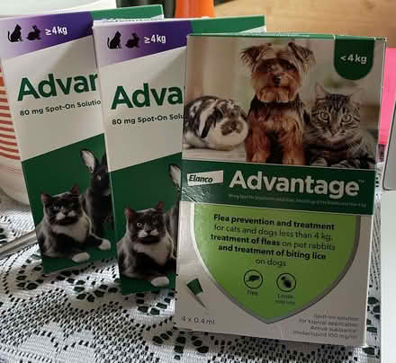 Photo of free Advantage Cat Flea Treatments (Whaley Thorns NG20) #1