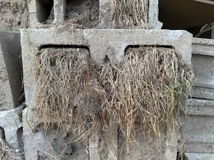 Photo of free Used Cinder Blocks - w/ free dirt (Schmidt Dr. and Boughton Rd.) #3