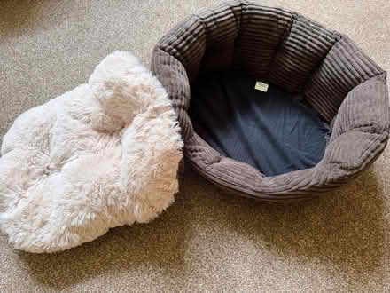 Photo of free Pets At Home Cat (or small dog) Bed (Walsgrave CV2) #2