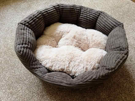 Photo of free Pets At Home Cat (or small dog) Bed (Walsgrave CV2) #1