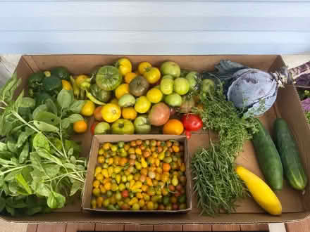 Photo of free Freshly picked organic vegetables (Fair Lawn, NJ) #1