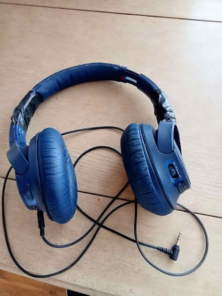 Photo of free Sony Headphones (Polegate BN26) #1