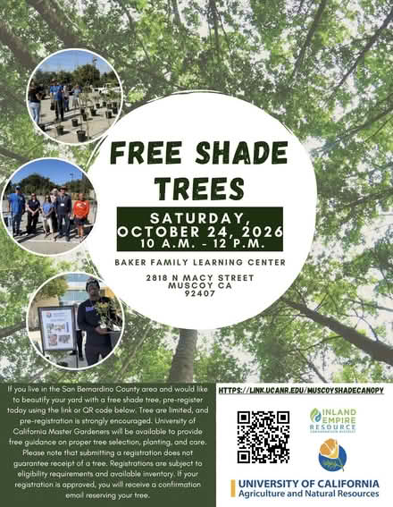 Photo of free Shade Trees in Muscoy (Baker Family Learning Center) #1