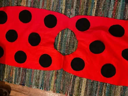 Photo of free Child’s homemade ‘Ladybird’ costume (Lightpill GL5) #2