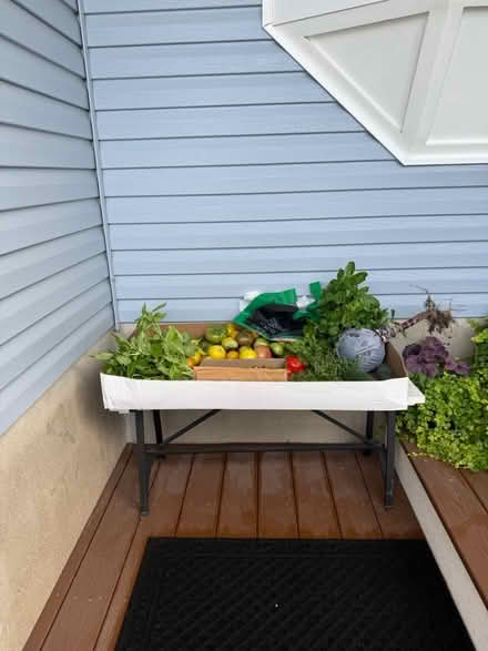 Photo of free Freshly picked organic vegetables (Fair Lawn, NJ) #3