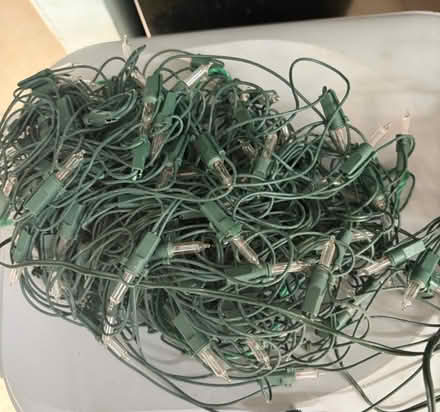Photo of free Net lights (Westbury Wilts BA13) #1