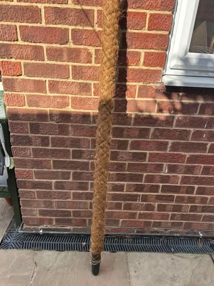 Photo of free House plant coco coir pole (Sudbury CO10) #1
