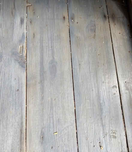 Photo of free Floor stain and varnish (Benton NE12) #1