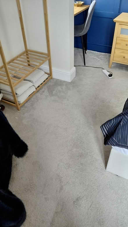 Photo of free Cream carpet (Brandon, Coventry) #1
