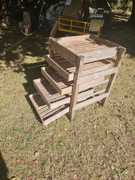 Photo of free Seed tray, (Southport PR8) #2