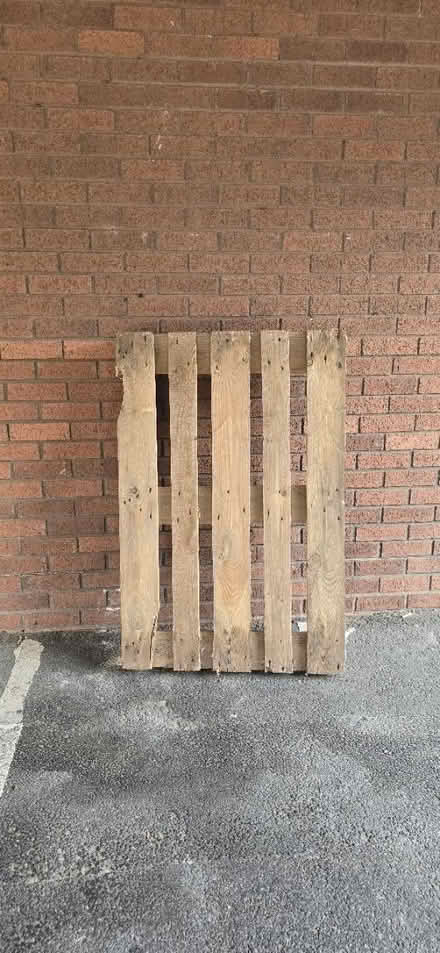 Photo of free wooden pallet (Bromley BR1) #1