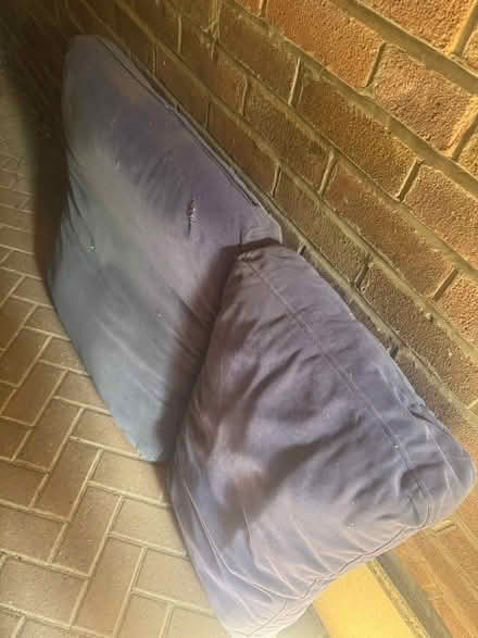 Photo of free Big blue cushions (WA4, Appleton) #1