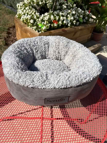 Photo of free Small dog / cat bed Scruffs (Burgess Hill RH15) #1