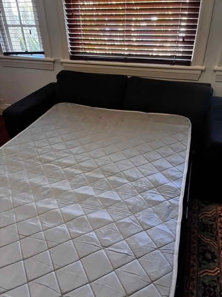 Photo of free Sofa Bed (Manly, NSW) #3