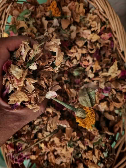 Photo of free Dried roses (without basket!) (Thornton Heath CR7) #2