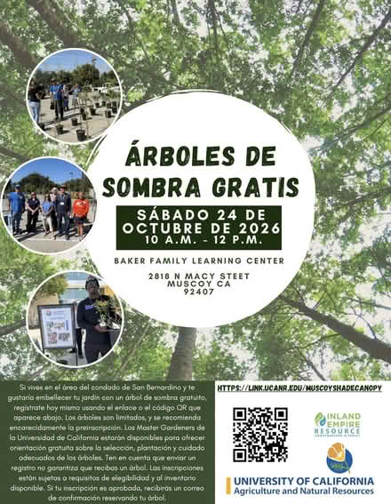 Photo of free Shade Trees in Muscoy (Baker Family Learning Center) #2