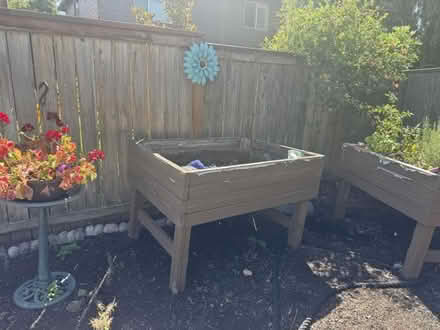 Photo of free planter (sherwood) #1